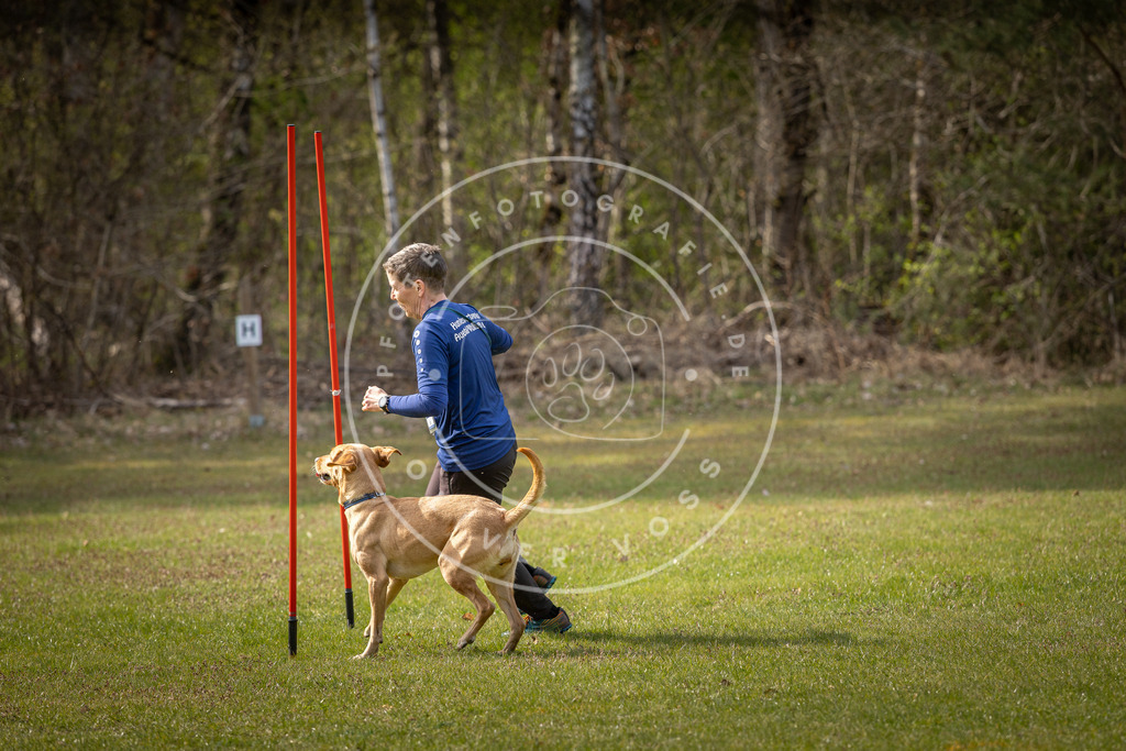 Pfotenfotografie_DV3A9731 | Hundefotografie, Tierfotograf, Pfotenfotografie, Fotoshooting Hund, Hunde Portrait, Hundesport, Hundeportraits, Heideshooting, Hunde, Sportfotograf, Hundefotograf, Turnierhundsport, THS,  - Realisiert mit Pictrs.com