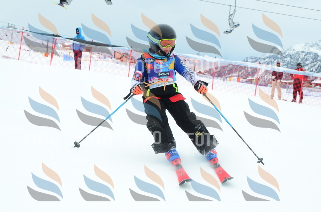 DSC_0988 | holidayphoto