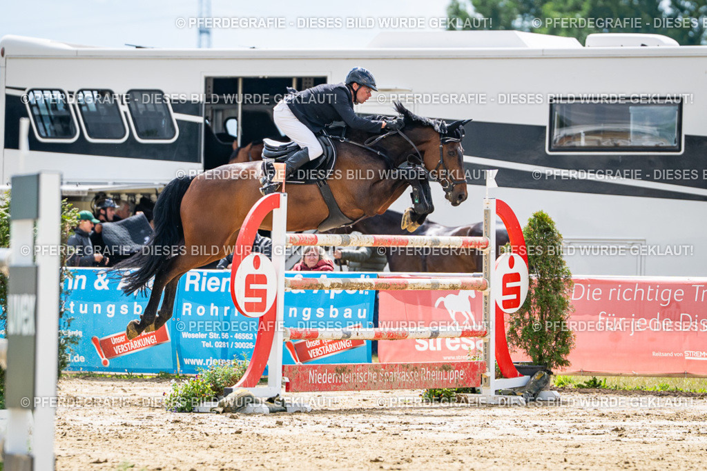 DSC05517 | Pferdegrafie