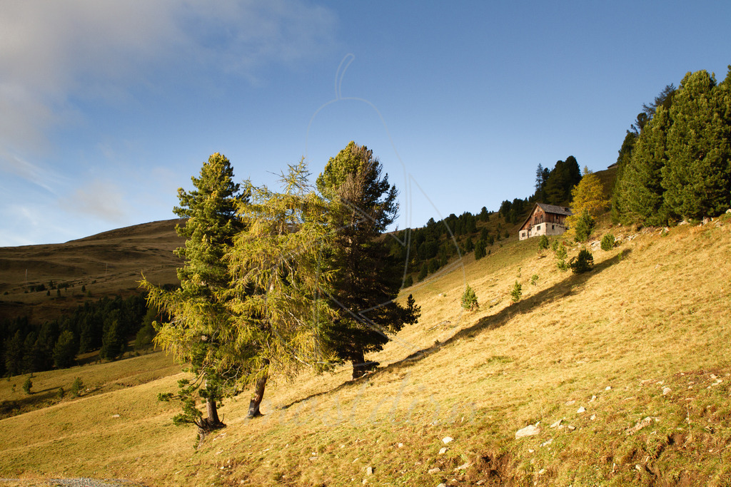 Herbt in Schönfeld | Bei Veröffentlichung des Bildes ist eine Namensnennung wie folgt erforderlich: 
Foto: Mostdirn Irmgard Wieser - Realisiert mit Pictrs.com