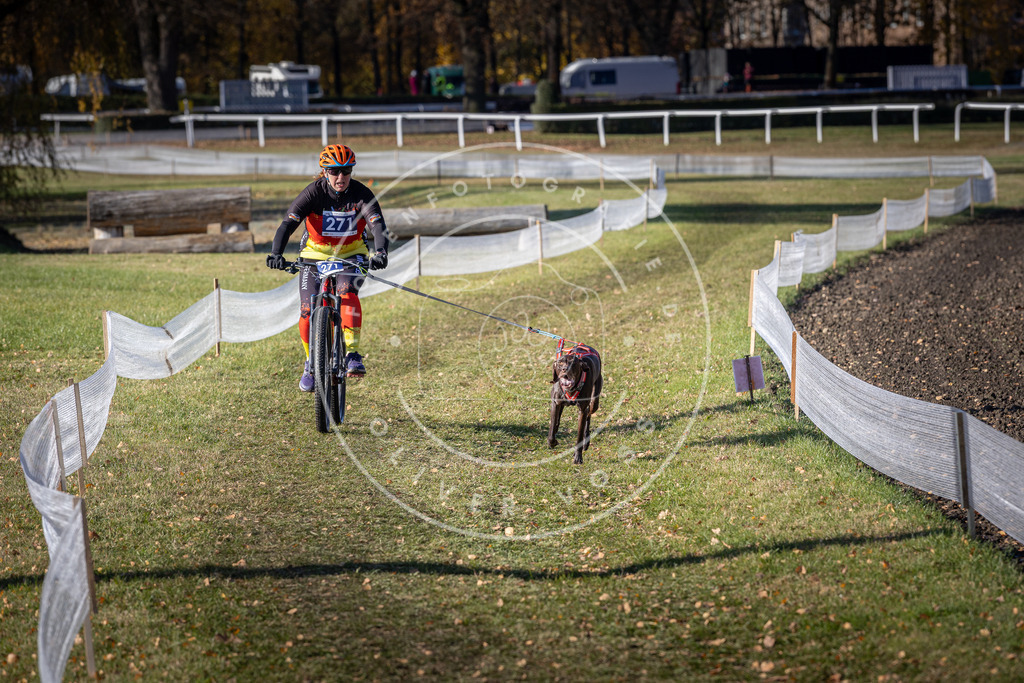 CaniXpix_DV3A5183 | Hundefotografie, Tierfotograf, Pfotenfotografie, Fotoshooting Hund, Hunde Portrait, Hundesport, Hundeportraits, Heideshooting, Hunde, Sportfotograf, Hundefotograf, Turnierhundsport, THS,  - Realisiert mit Pictrs.com