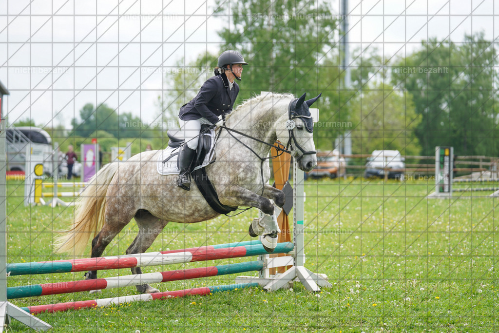 20240509-FAH02441 | Turnierbilder der Turnierfotografen Bayern, Pferdesport Fotografie, Reitsportbilder, Turnier Landberg am Lech, Turnierbilder bayern, Fotoagentur Herrmann