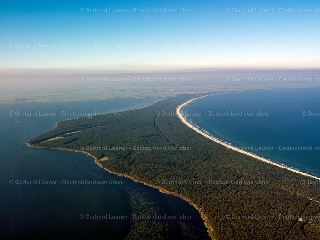 2581084 | Langes Moor , Wittower Heide, Rügen