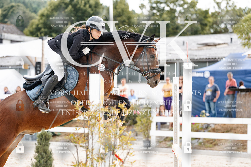 CK902579 | Turnierfotografie Pferdefotografie Trier Rheinland-Pfalz Pferdesport Reitsport Tierfotografie Sportfotografie Pferdevideo Pferdevideografie Equestrianvideography equestrianphotography  - Realisiert mit Pictrs.com