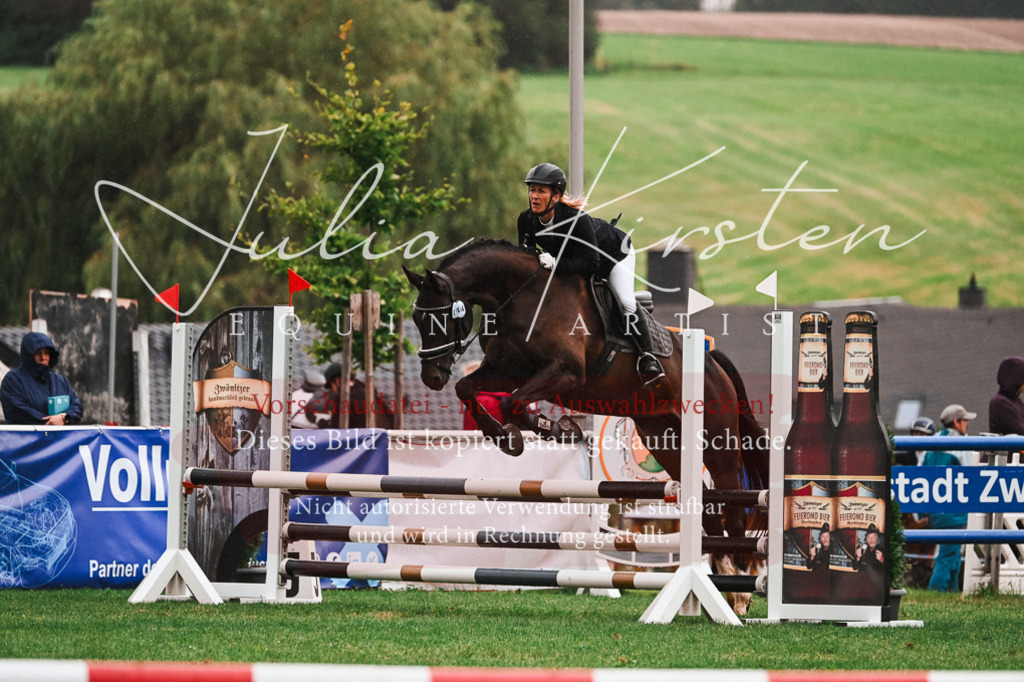 DSC_6411 | Pferde- und Turnierfotografie in Westsachsen. Pferdeportraits, Auftragszeichnungen und intuitive Kunst.