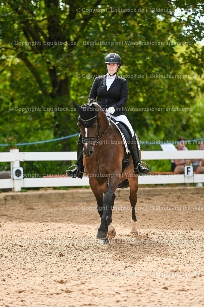 20230715_07_Dressurpferdeprfg. Kl.L_0109 | equistock