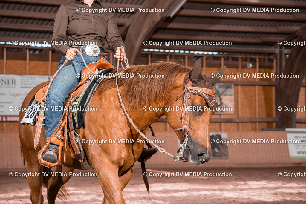 NE100781 | dv-media-shop - Realisiert mit Pictrs.com