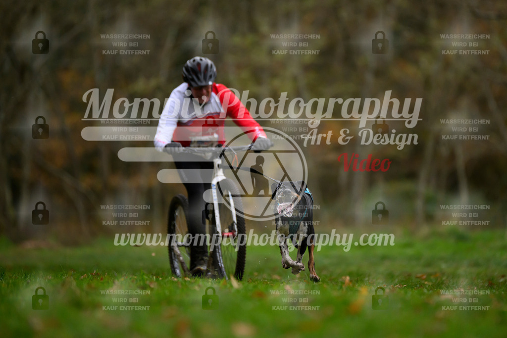 MompixPhotography_Bischwiller24_SA_DS1-22 | PayLife
