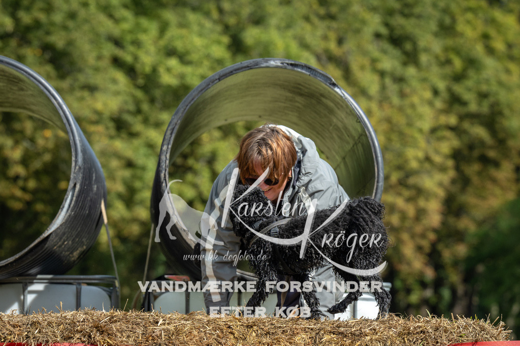 1334_ZZ93869 | kk-dogfotos