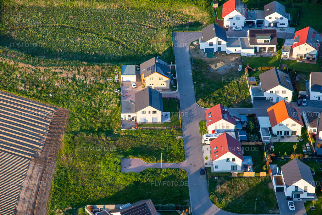 Luftbild: Narzissenweg in Kandel im Bundesland Rheinland-Pfalz in Deutschland. Foto: IMG_140372.jpg vom 23.04.2024 durch Werner Riehm/FLY-FOTO.de