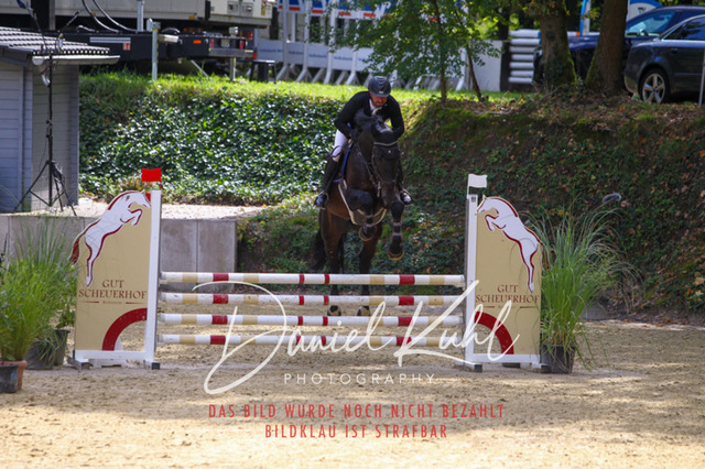 DKP40527 | Turniersportfotografie; Pferdefotografie; Dressurfotografie