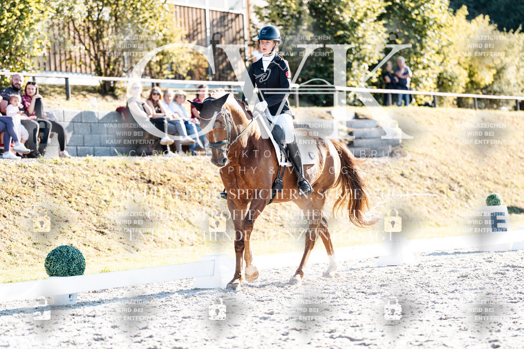 CK906717 | Turnierfotografie Pferdefotografie Trier Rheinland-Pfalz Pferdesport Reitsport Tierfotografie Sportfotografie Pferdevideo Pferdevideografie Equestrianvideography equestrianphotography  - Realisiert mit Pictrs.com