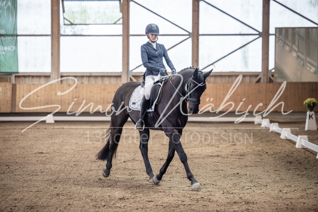 20251011-_3LI9598 | Tierfotografie Pferde, Hunde, Katzen, Haustiere.
Turnierfotografie Reitturniere, Reiten, Springreiten, Dressur in Hanau, dem Main-Kinzig-Kreis und dem Rhein-Main- Gebiet um Frankfurt