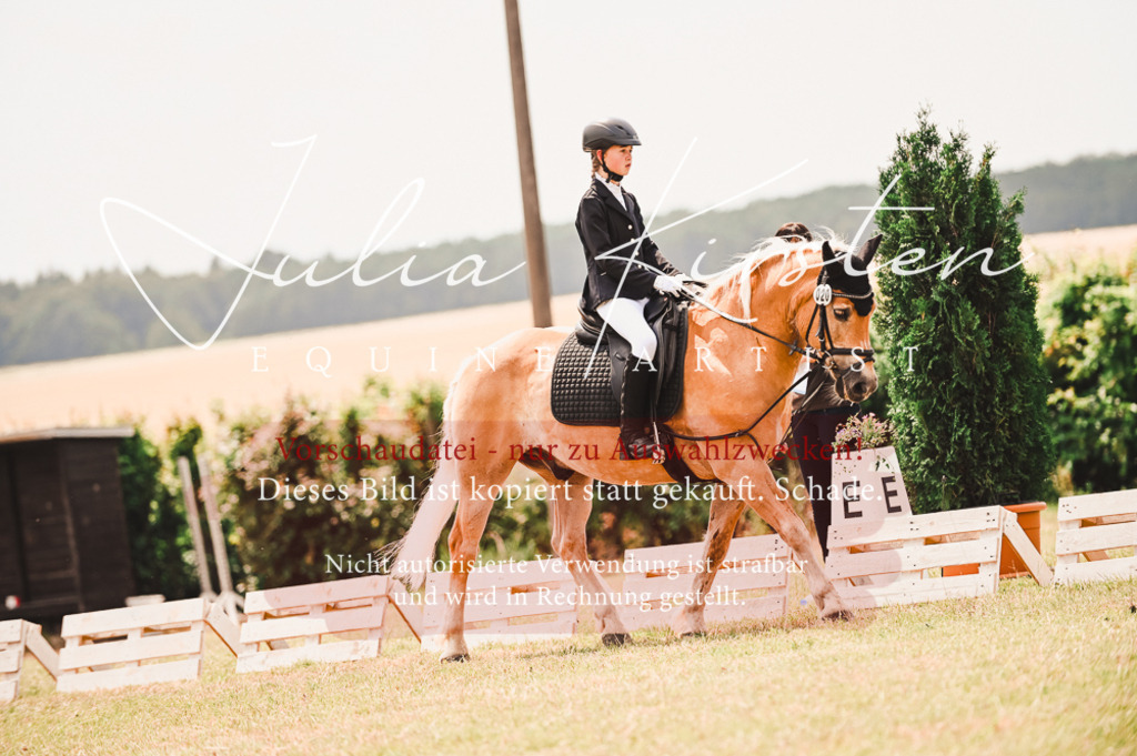 DSC_6250 | Pferde- und Turnierfotografie in Westsachsen. Pferdeportraits, Auftragszeichnungen und intuitive Kunst.