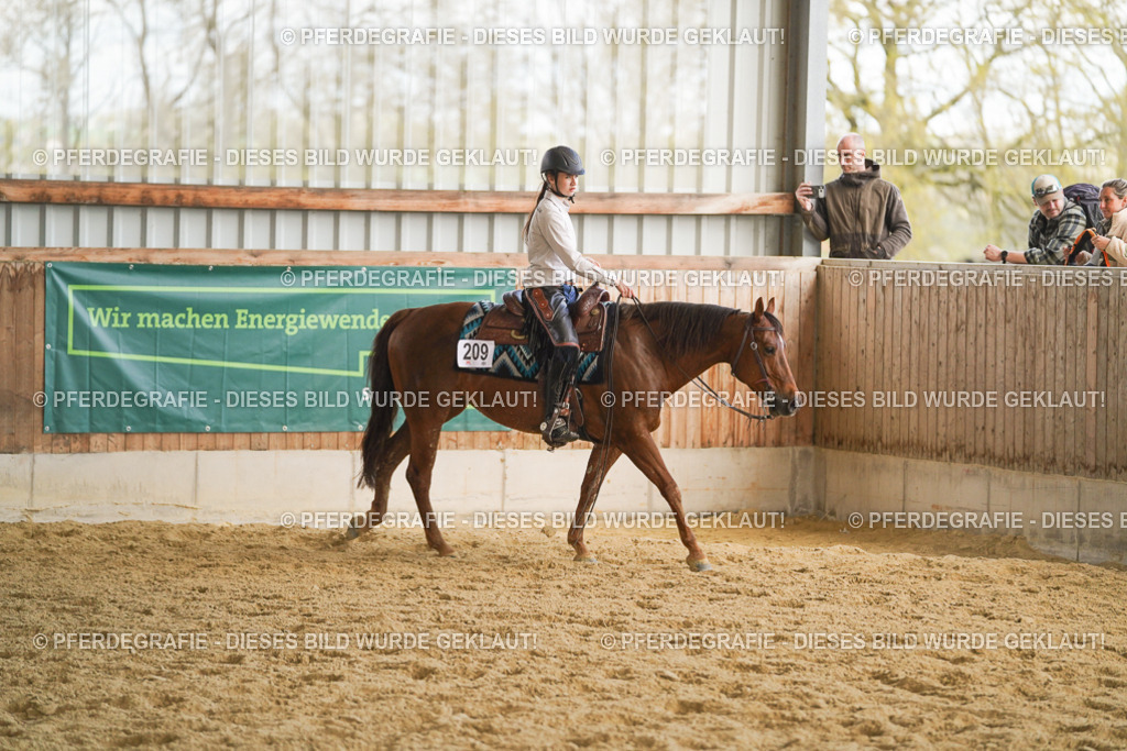 DSC08827 | Pferdegrafie