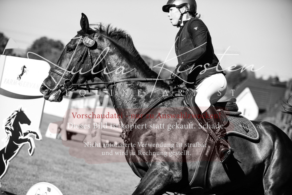 DSC_2257 | Pferde- und Turnierfotografie in Westsachsen. Pferdeportraits, Auftragszeichnungen und intuitive Kunst.