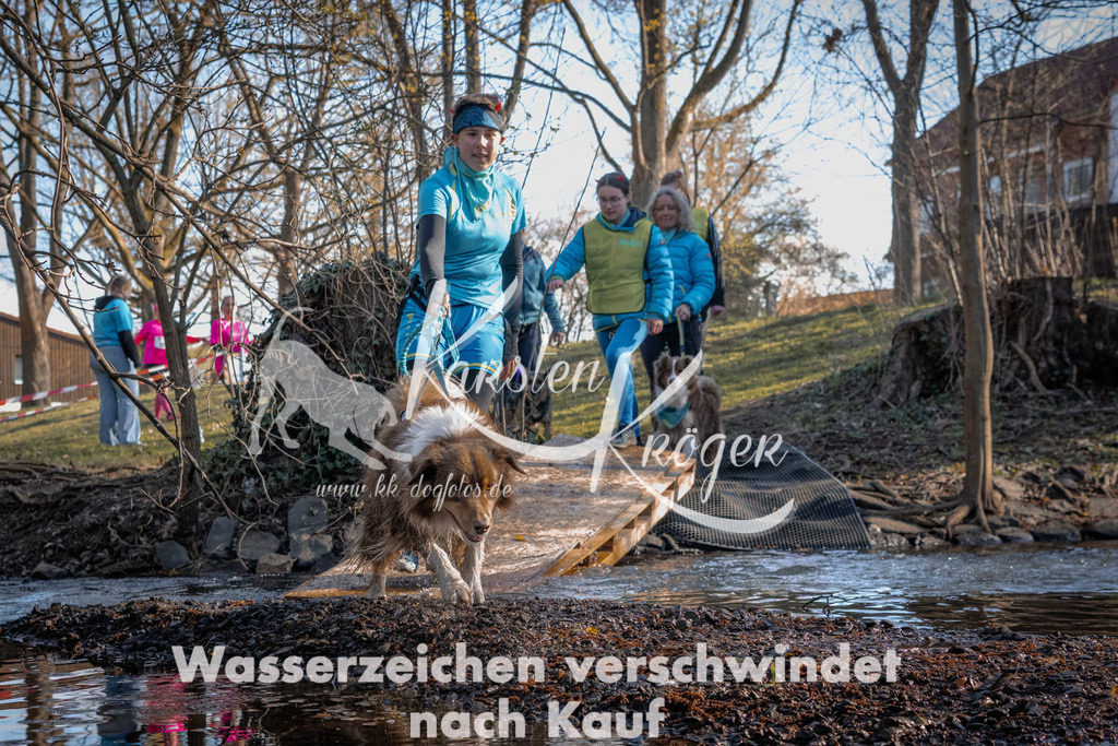 0828_ZZ91149 | kk-dogfotos