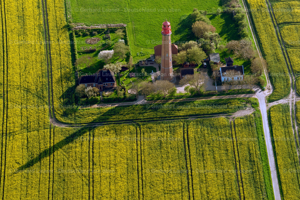3802242 | Raps-Feldstrukturen am Leuchtturm Flügge, Fehmarn