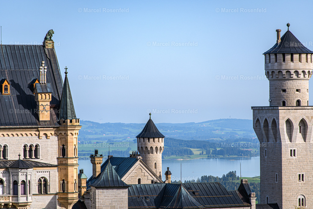 _DSC4610 (1) | foto-rosenfeld