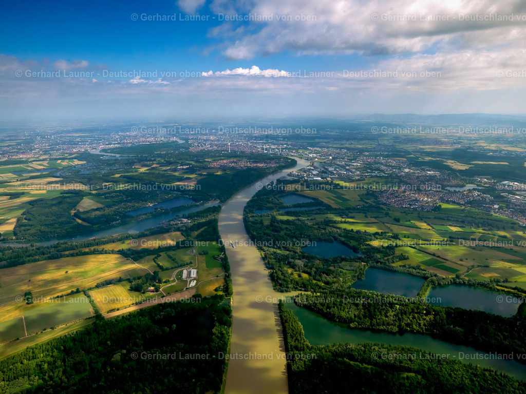 2739717 | Rhein südlich von Mannheim, Schwetzinger Wiesen-Edinger Ried