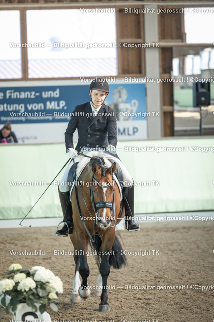 _D5A9789 | Emotionale Pferde- & People-Fotografie rund um Heidelberg, Leimen & Umgebung. Natürliche Fotos von Pferd, Mensch & Familie. Jetzt Termin sichern!