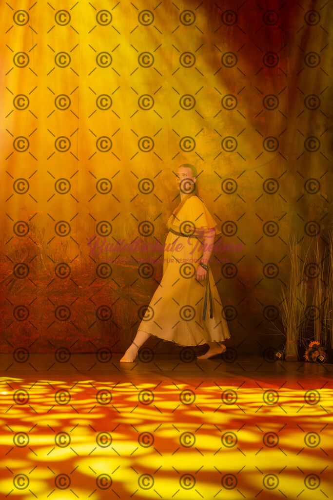 Ballettaufführung-1492 | Bildershop Lem'n Entertainment - Realisiert mit Pictrs.com