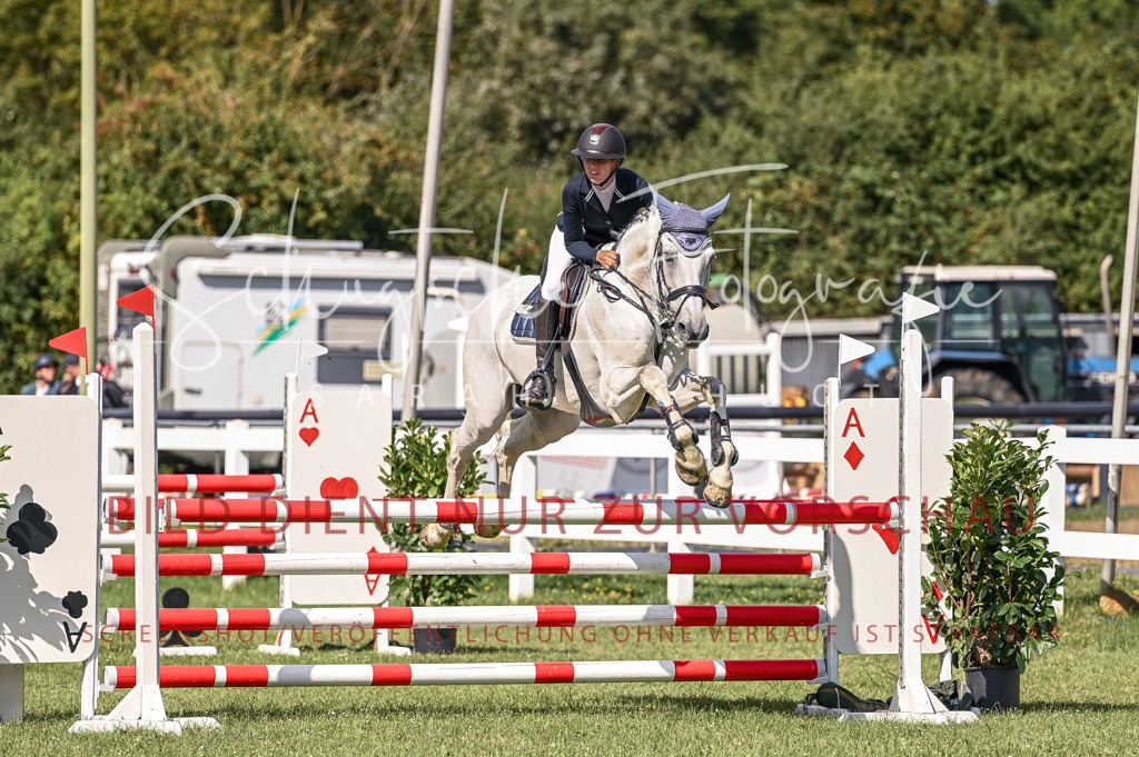 Schugtsche-Düren.2024-08.Amat.Springprf.L-110 | Schugtsche Fotografie - Realisiert mit Pictrs.com