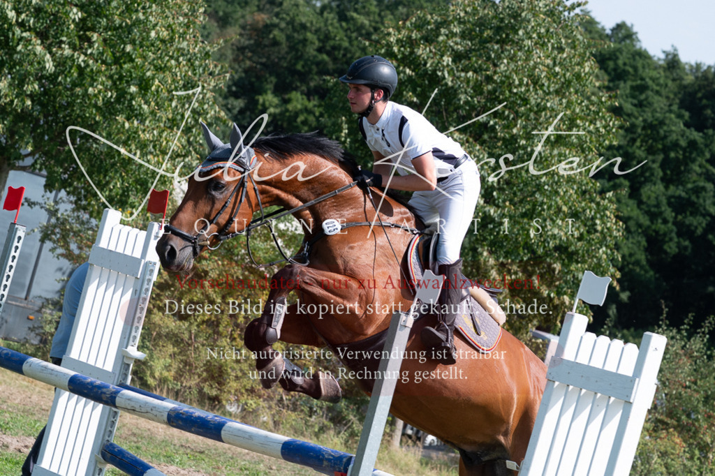 DSC_0882 | Pferde- und Turnierfotografie in Westsachsen. Pferdeportraits, Auftragszeichnungen und intuitive Kunst.