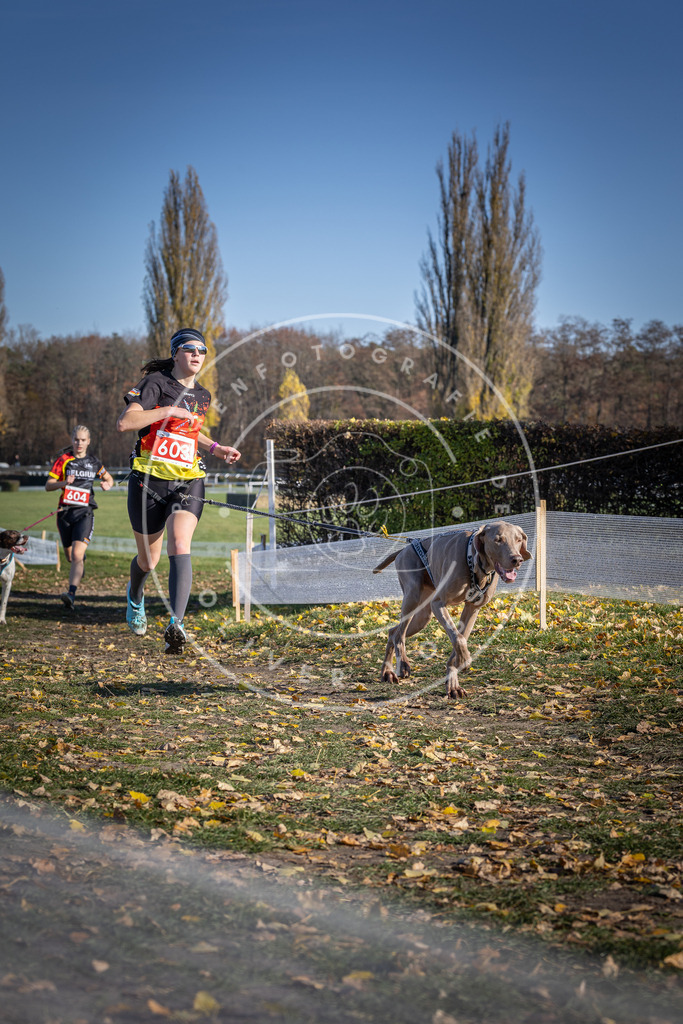 CaniXpix_DV3A9575 | Hundefotografie, Tierfotograf, Pfotenfotografie, Fotoshooting Hund, Hunde Portrait, Hundesport, Hundeportraits, Heideshooting, Hunde, Sportfotograf, Hundefotograf, Turnierhundsport, THS,  - Realisiert mit Pictrs.com