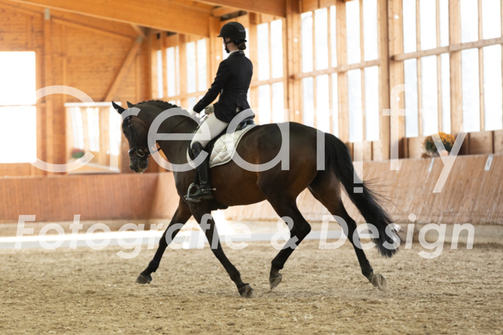 IMG_3361 | Creatify Fotografie