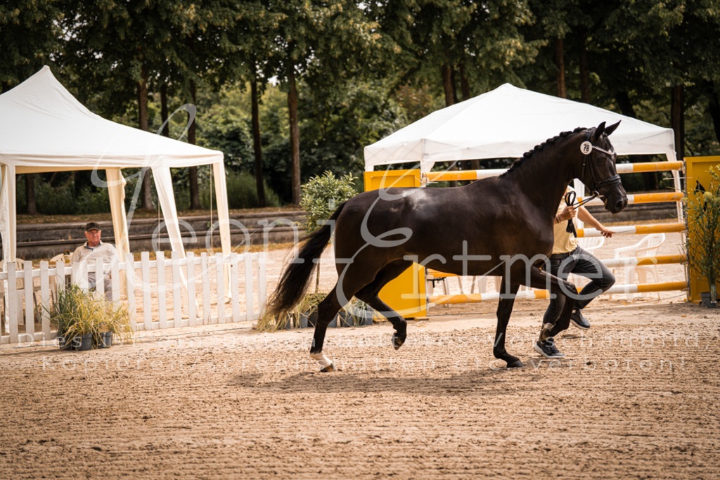 4.Fr00068 | Leoni Ertmer Photography - Realisiert mit Pictrs.com