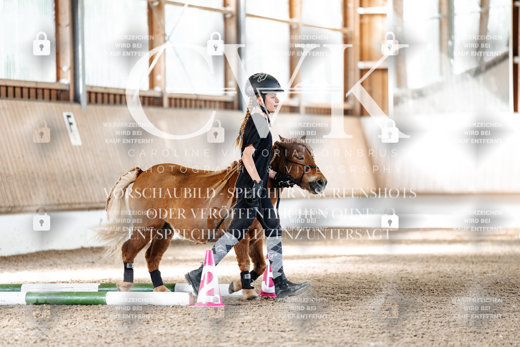 CK905248 | Turnierfotografie Pferdefotografie Trier Rheinland-Pfalz Pferdesport Reitsport Tierfotografie Sportfotografie Pferdevideo Pferdevideografie Equestrianvideography equestrianphotography  - Realized with Pictrs.com