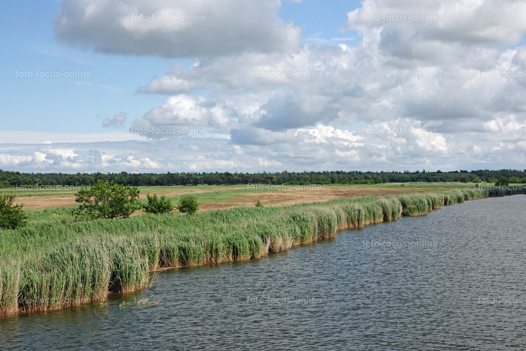 Prerow Bodden Landscape | foto-focus-online
