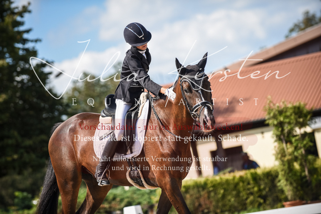 DSC_9620 | Pferde- und Turnierfotografie in Westsachsen. Pferdeportraits, Auftragszeichnungen und intuitive Kunst.