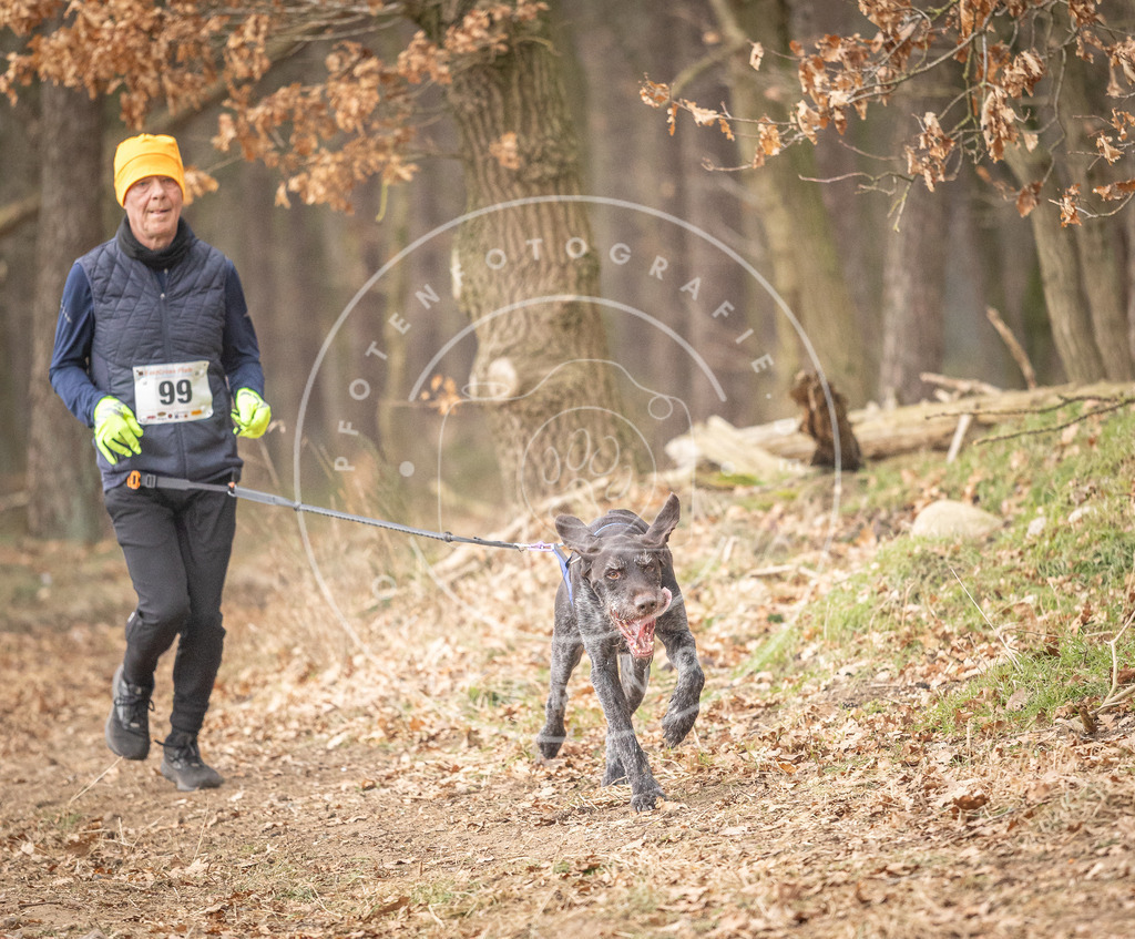 Pfotenfotografie_DV3A5014 | Hundefotografie, Tierfotograf, Pfotenfotografie, Fotoshooting Hund, Hunde Portrait, Hundesport, Hundeportraits, Heideshooting, Hunde, Sportfotograf, Hundefotograf, Turnierhundsport, THS,  - Realisiert mit Pictrs.com