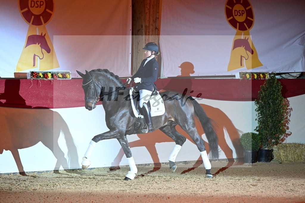 San__Haug_3262112 | hf-fotografie - Realisiert mit Pictrs.com
