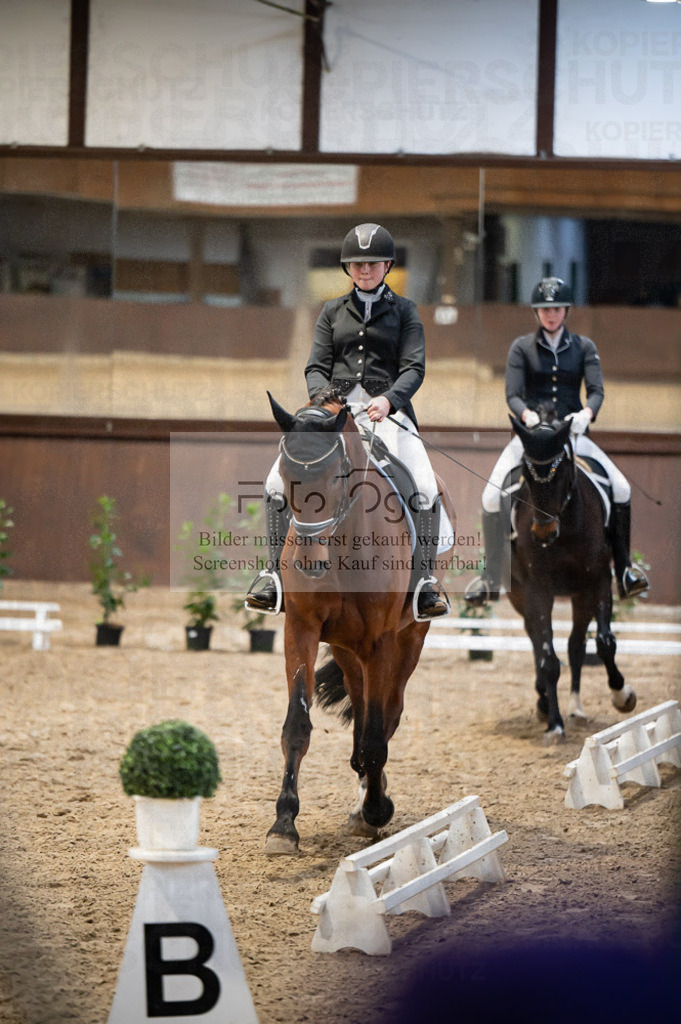Hallenreittunier Voxtrup 2023 | Entdecke hochwertige Reitturnierfotos von Foto Oger. Professionell, emotional und authentisch – jetzt Lieblingsmomente im Shop bestellen.Deutschlandweite Turnierfotografie. - Realisiert mit Pictrs.com