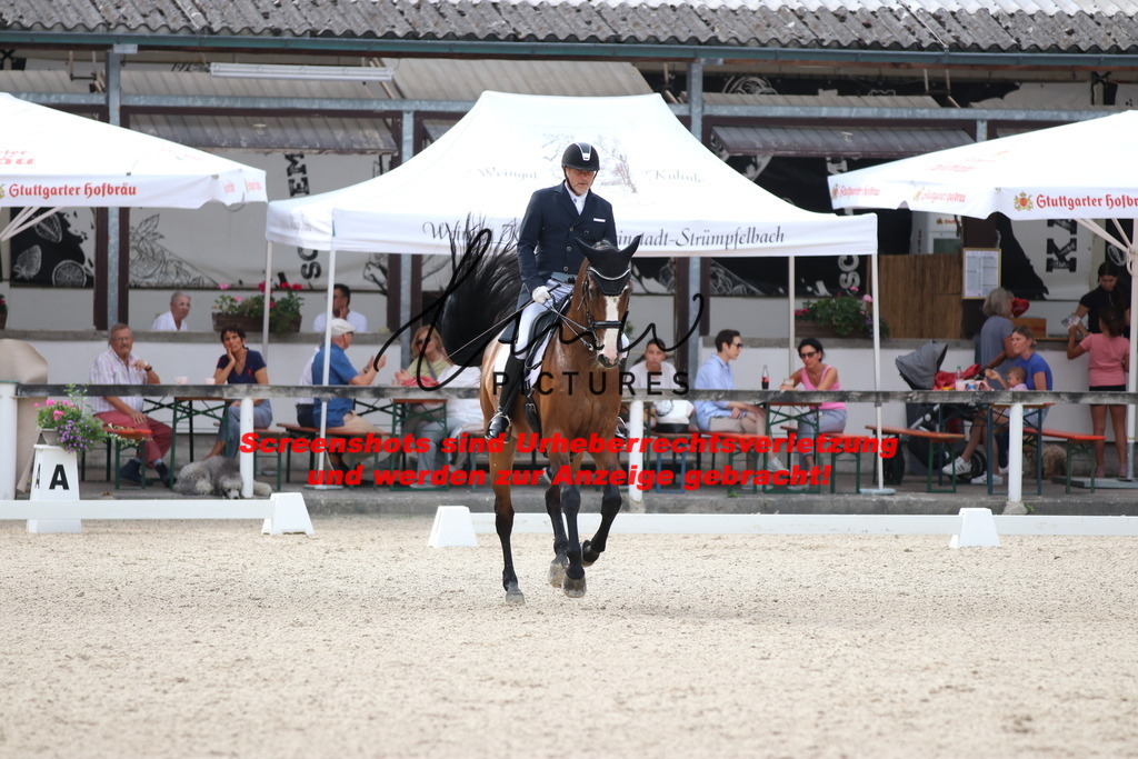 IMG_1373 | lmwpictures - Realisiert mit Pictrs.com