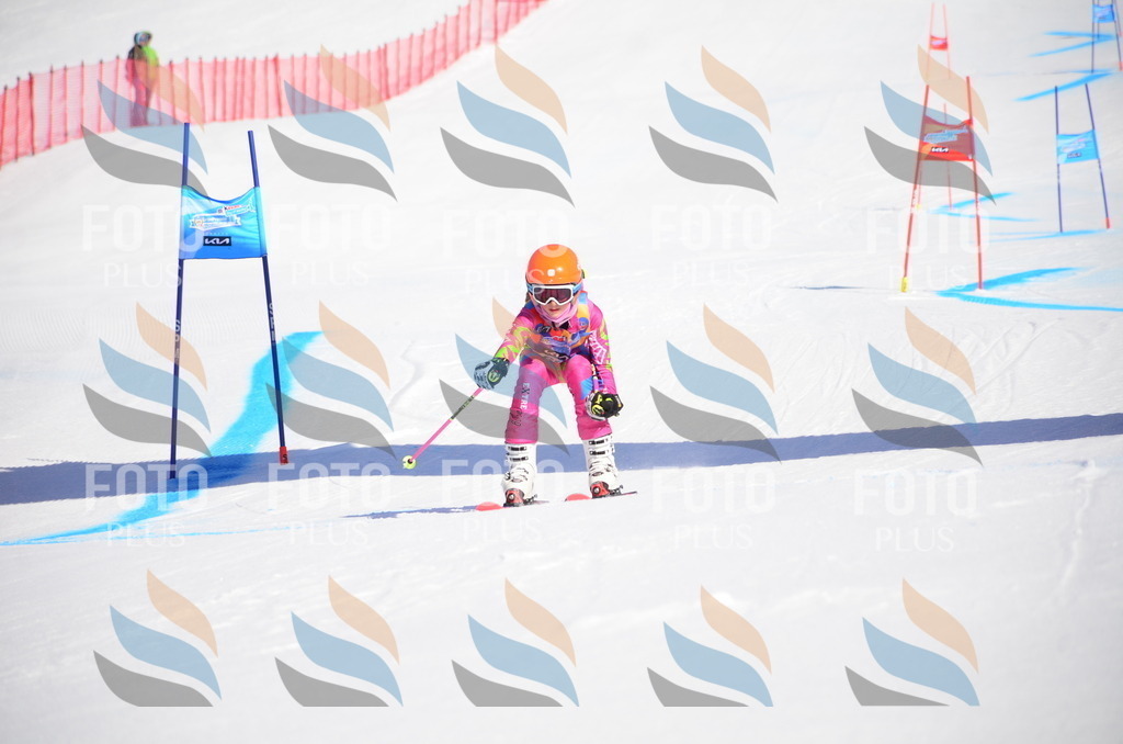 VR4_9009 | holidayphoto