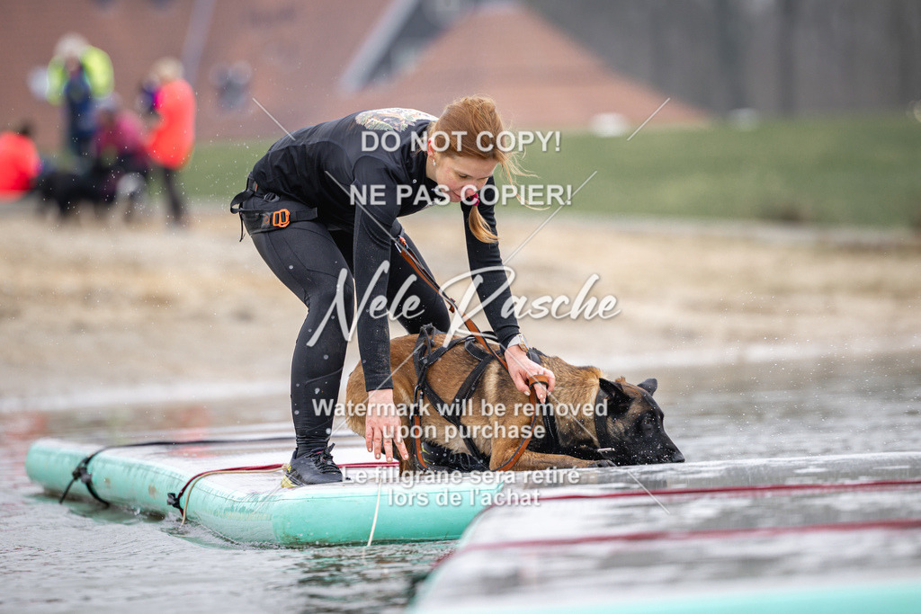 nelerasche_Hulsbeek_Sa1100-1130_113 | nelerasche