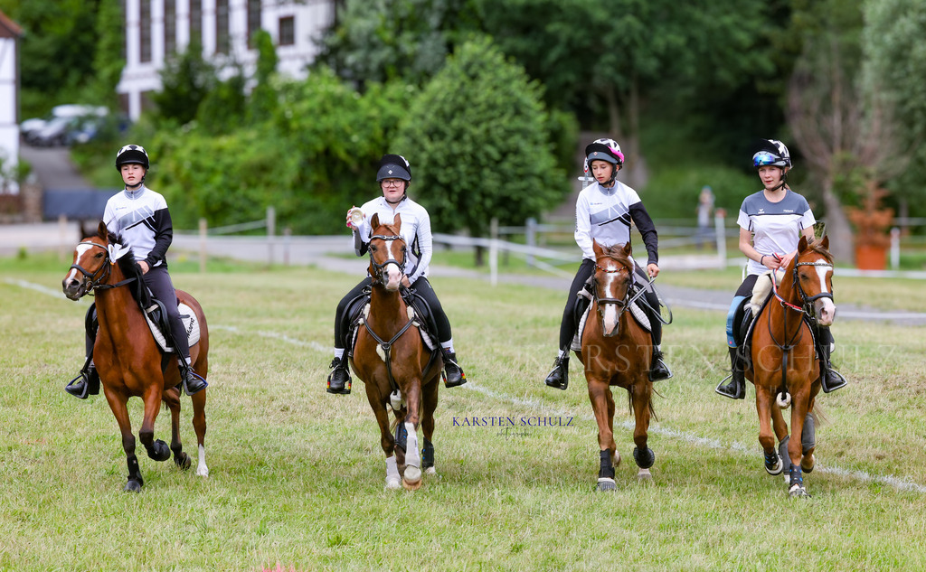 1B3A1803 | Reitsport Reiten