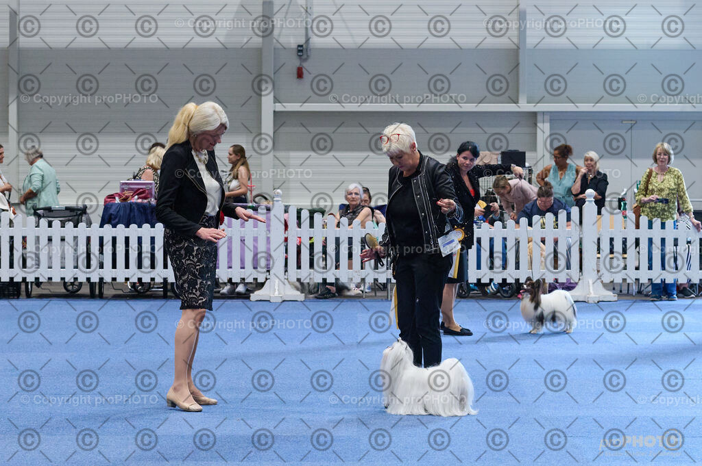 202406_ÖKV-IHA-Tulln24_DSC_4879 | proPHOTO - Realisiert mit Pictrs.com