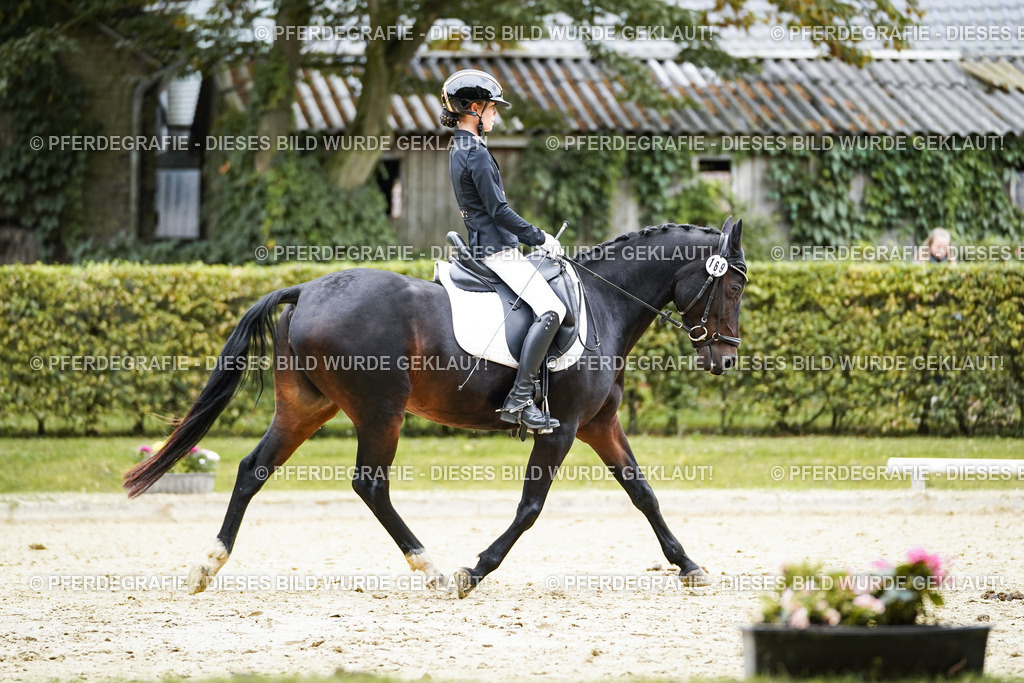 DSC09584 | Pferdegrafie