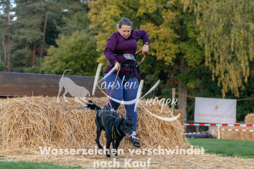0849_ZZ91556 | kk-dogfotos