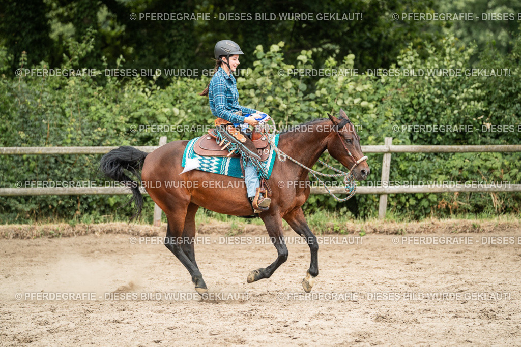 DSC04082 | Pferdegrafie