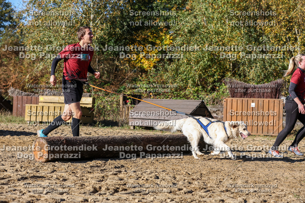 Dog Paparazzi - Strongdog 10-25-2358 | Dog Paparazzi Jeanette Grottendiek Fotografie & Videografie - Realisiert mit Pictrs.com