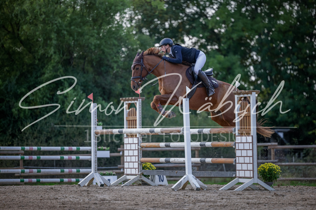 20251012-_3LI5614 | Tierfotografie Pferde, Hunde, Katzen, Haustiere.
Turnierfotografie Reitturniere, Reiten, Springreiten, Dressur in Hanau, dem Main-Kinzig-Kreis und dem Rhein-Main- Gebiet um Frankfurt