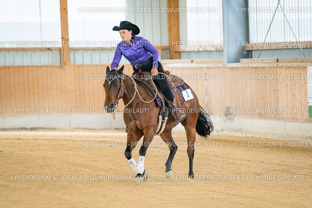 DSC07686 | Pferdegrafie