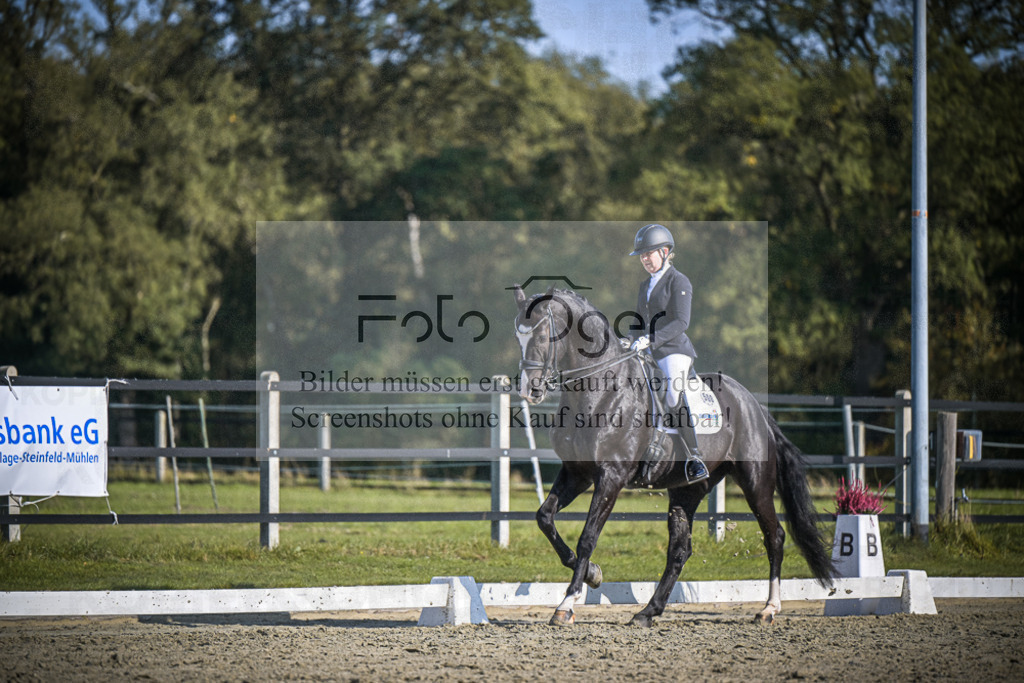 DOS_2999 | Entdecke hochwertige Reitturnierfotos von Foto Oger. Professionell, emotional und authentisch – jetzt Lieblingsmomente im Shop bestellen.Deutschlandweite Turnierfotografie. - Realisiert mit Pictrs.com