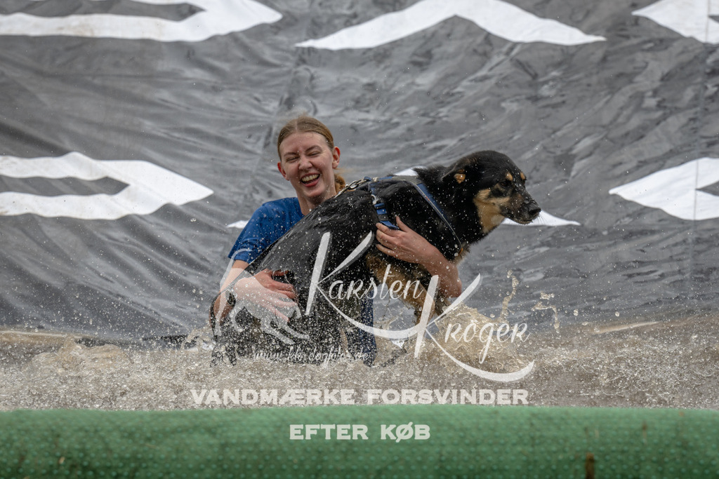 1550_ZZ91013 | kk-dogfotos